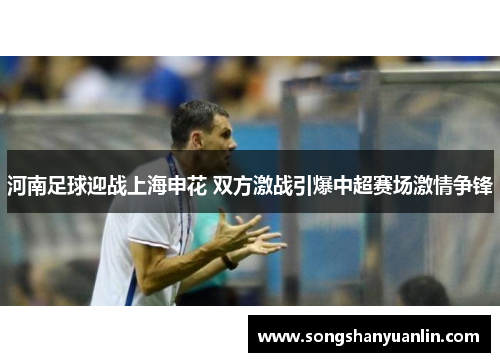 河南足球迎战上海申花 双方激战引爆中超赛场激情争锋