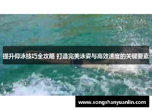 提升仰泳技巧全攻略 打造完美泳姿与高效速度的关键要素