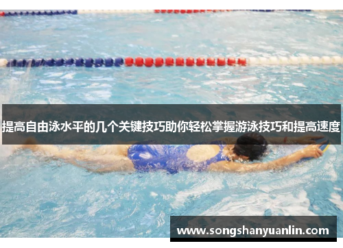提高自由泳水平的几个关键技巧助你轻松掌握游泳技巧和提高速度