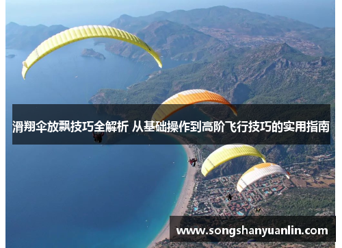滑翔伞放飘技巧全解析 从基础操作到高阶飞行技巧的实用指南