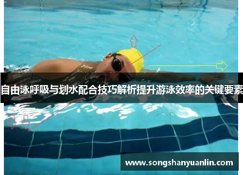 自由泳呼吸与划水配合技巧解析提升游泳效率的关键要素