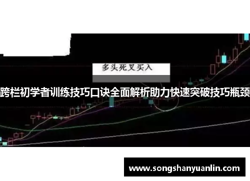 跨栏初学者训练技巧口诀全面解析助力快速突破技巧瓶颈